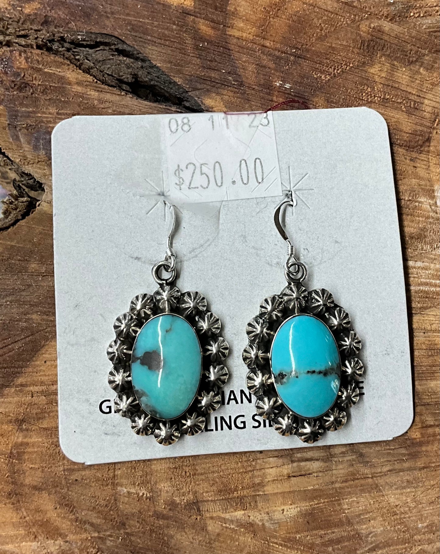 Earring Turquoise Oval Stone 127