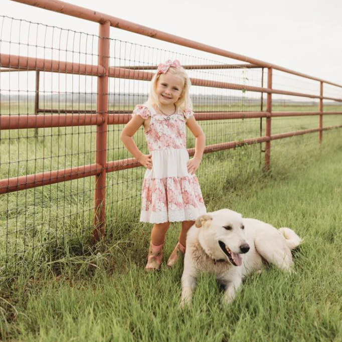 Shea Baby Girls Bucking Horse Dress PDR01