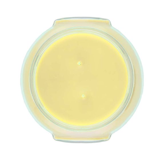 Tyler Candle 22 oz Dolce Vita 22160