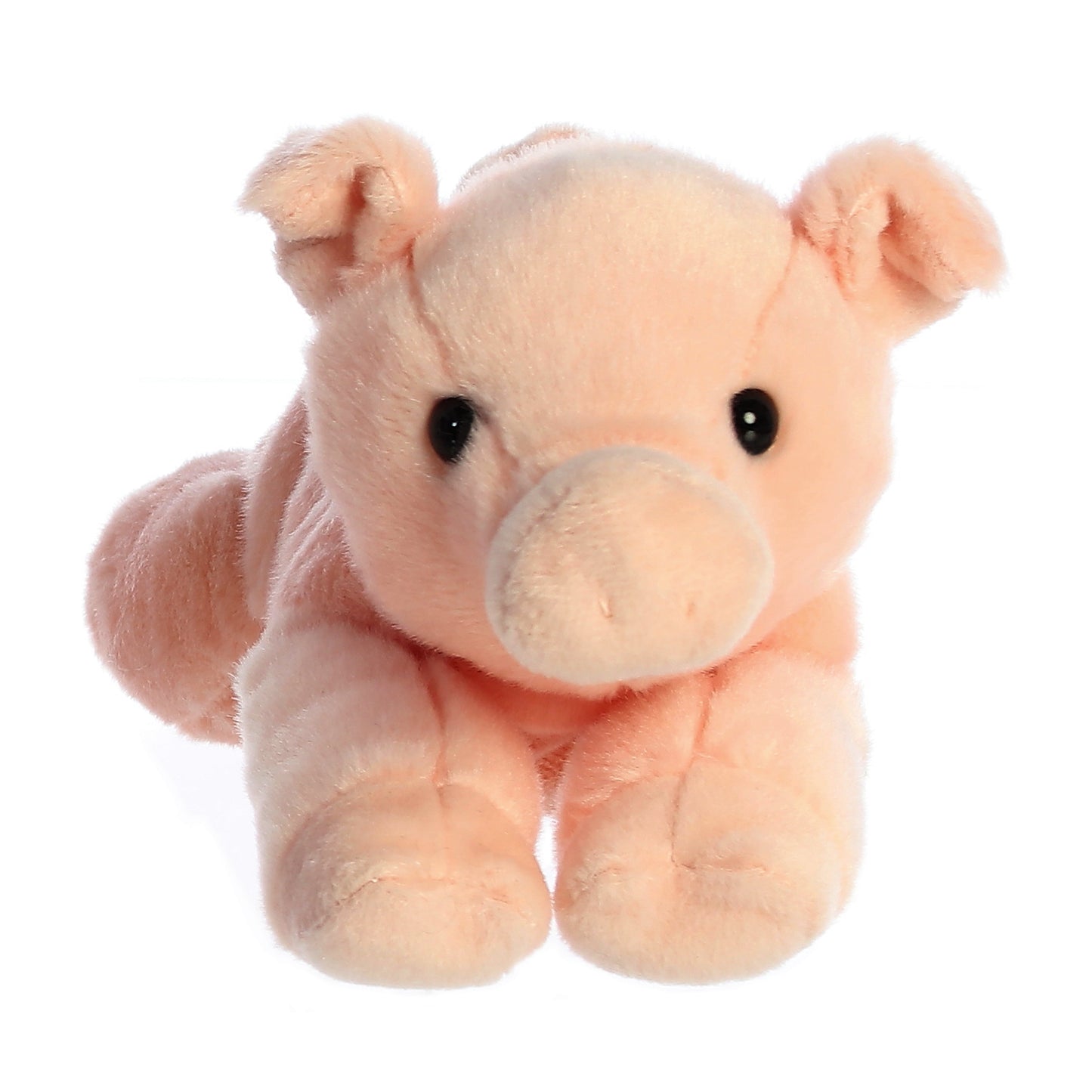 Stuffed Percy Piggy 4260