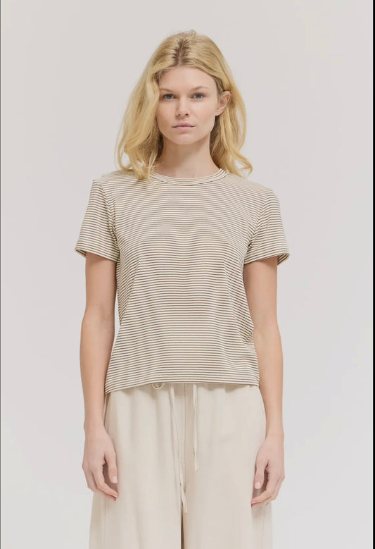 T Shirt Standard Fit Stripe Cotton 42282