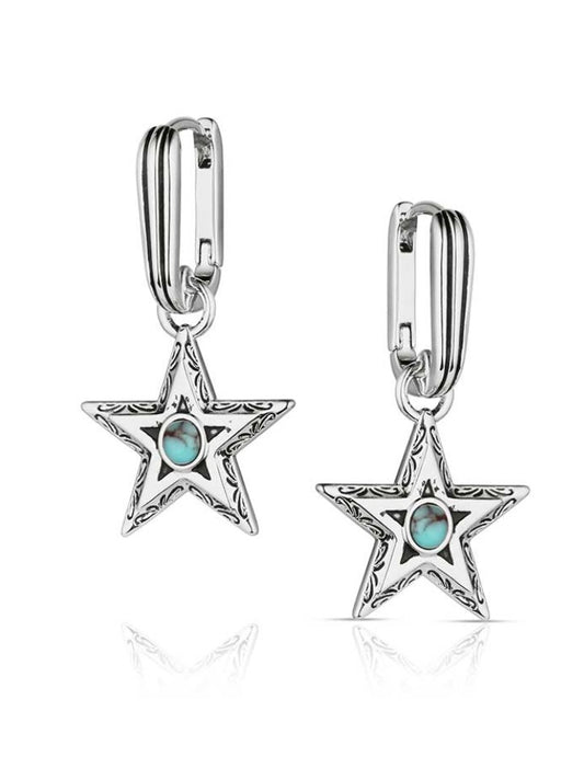 Montana Silversmith Lucky Star ER6371