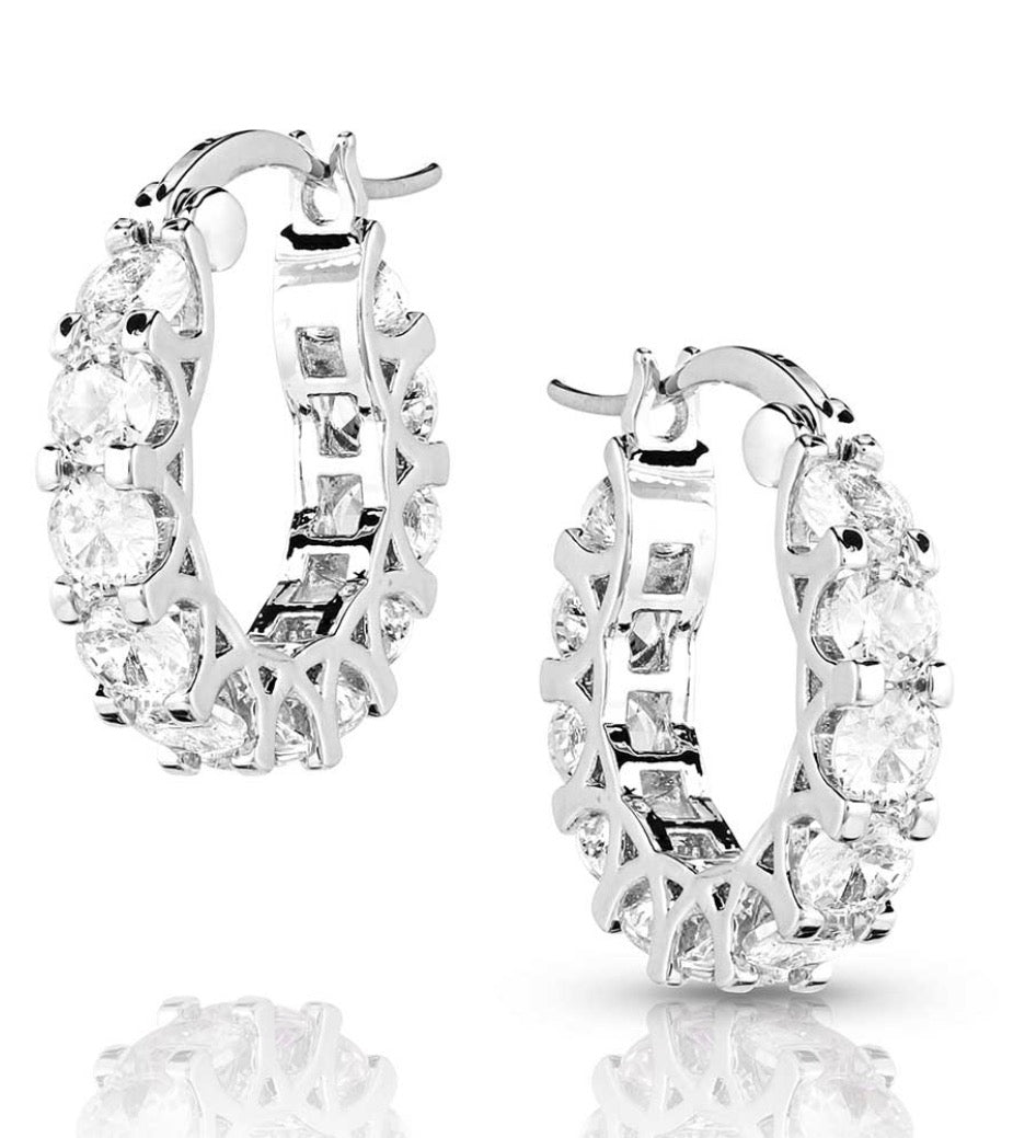 Montana Silversmiths Dazzling Delight ER6539