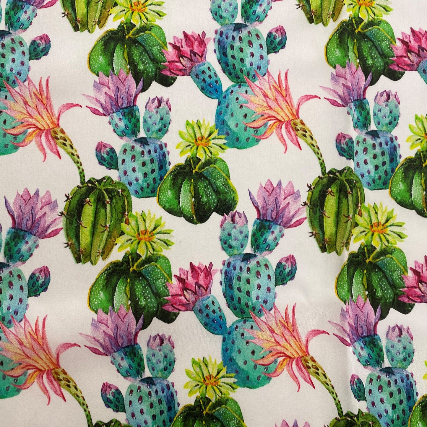 M & F Western Wild Rag - Cactus Print 0908305