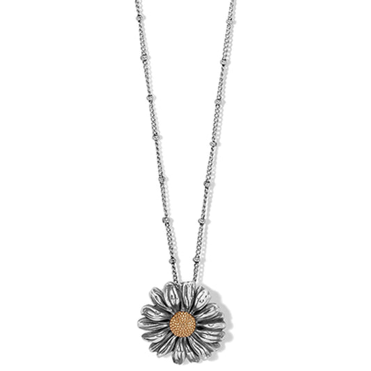 Brighton Daisy Dee Short Necklace JM4582