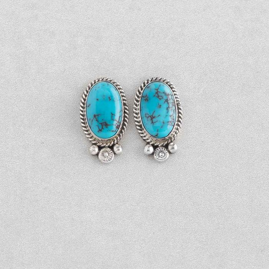 Earring  Turquoise Post FJE270