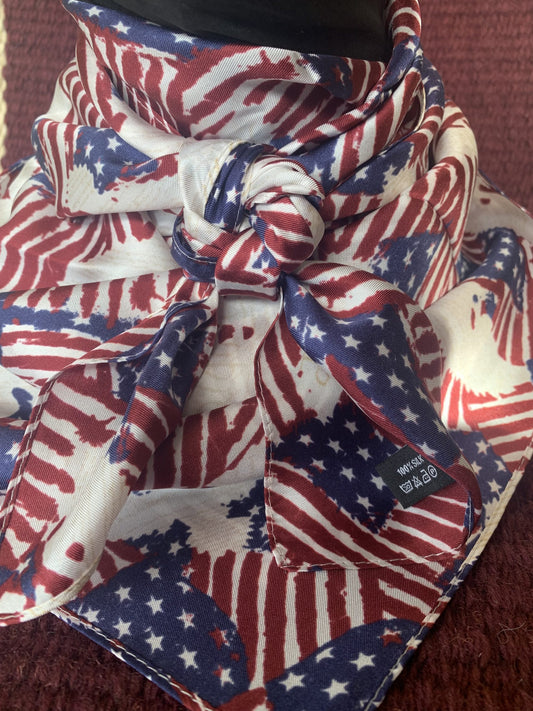 Wild Rag - Navy Bandanna 1313X