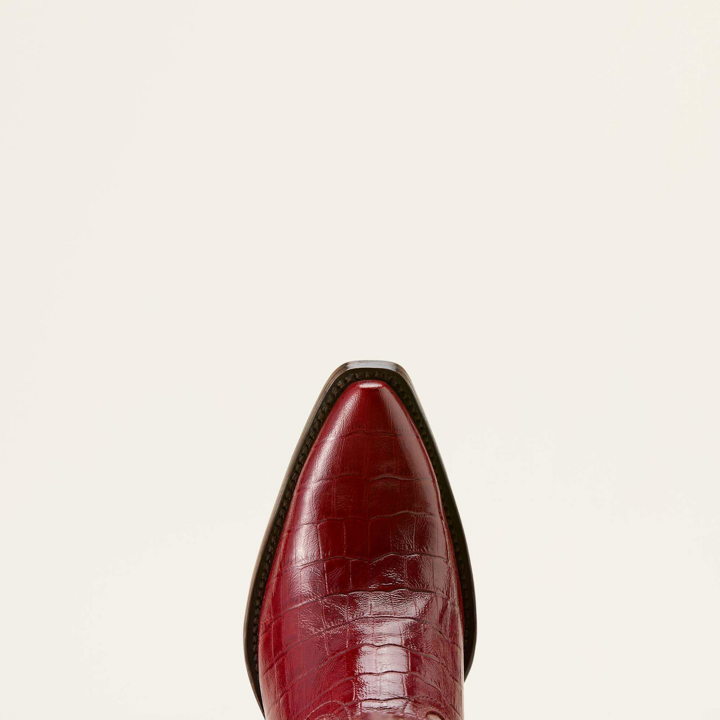 Ariat Casanova 10063991