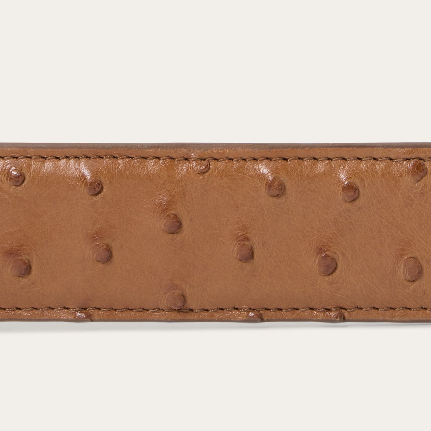 Stetson Men’s Antique Cognac Genuine Ostrich Belt 71991