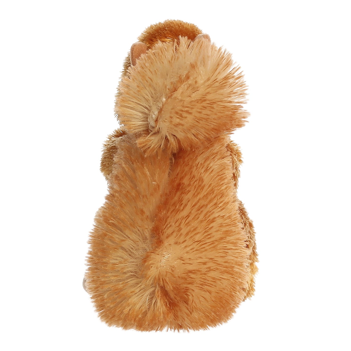 Stuffed Nutsie Squirrel 5208