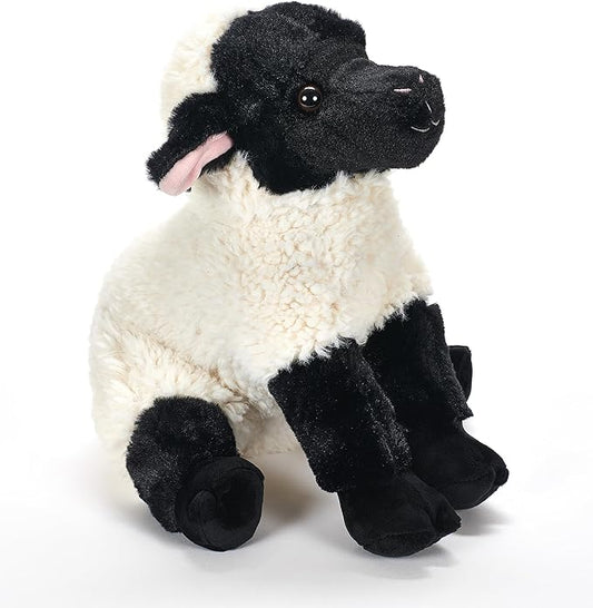 Black and White Lamb 421302