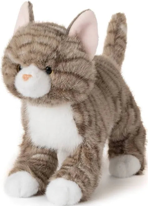 Tabby Cat 32594