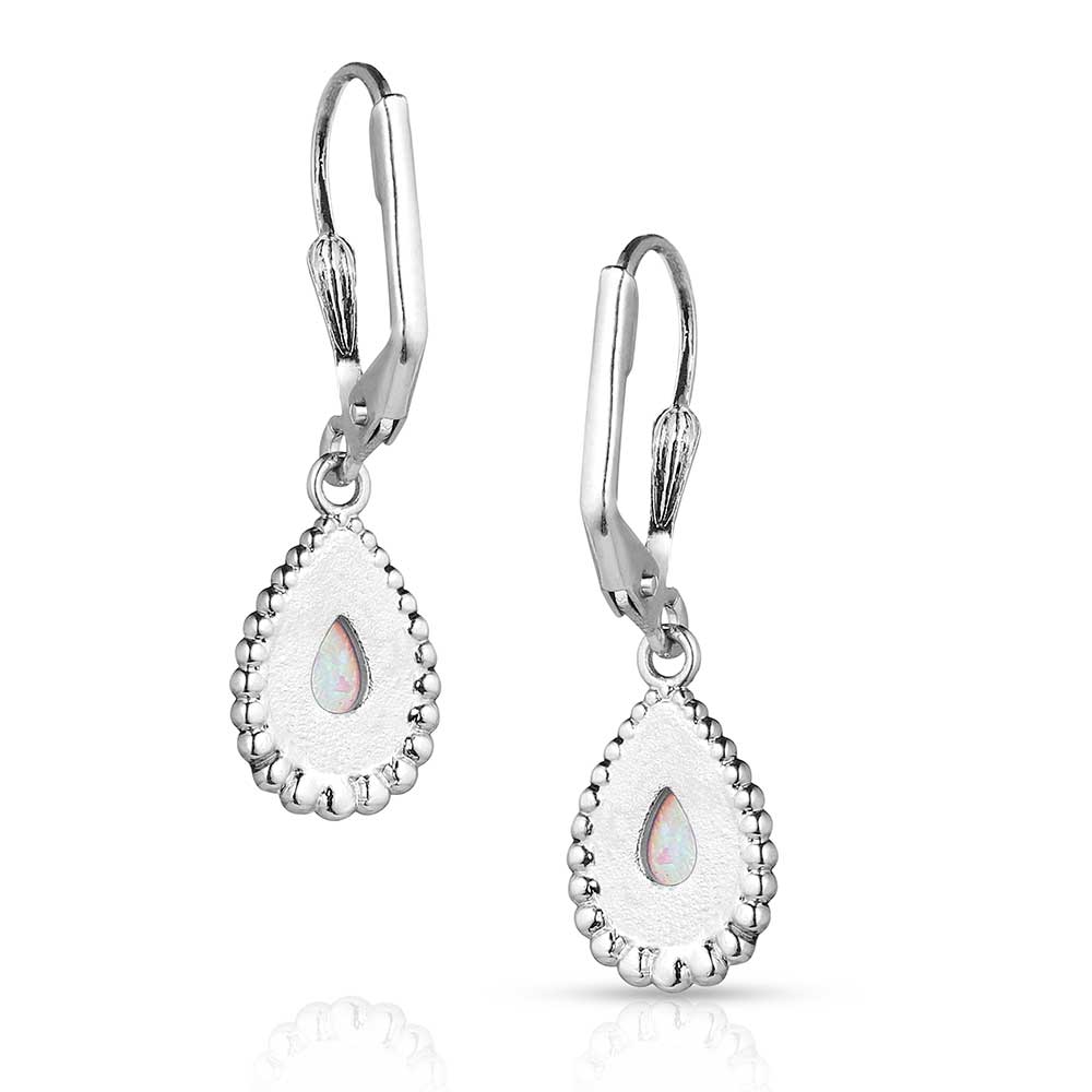 Montana Silversmiths Earrings Glimmering Pools ER5822