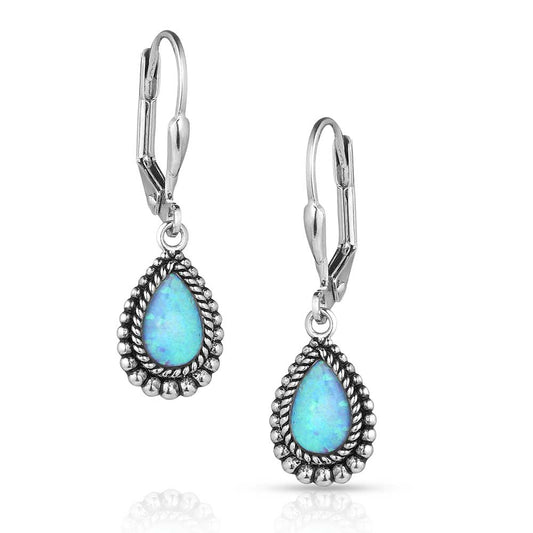 Montana Silversmiths Earrings Glimmering Pools ER5822